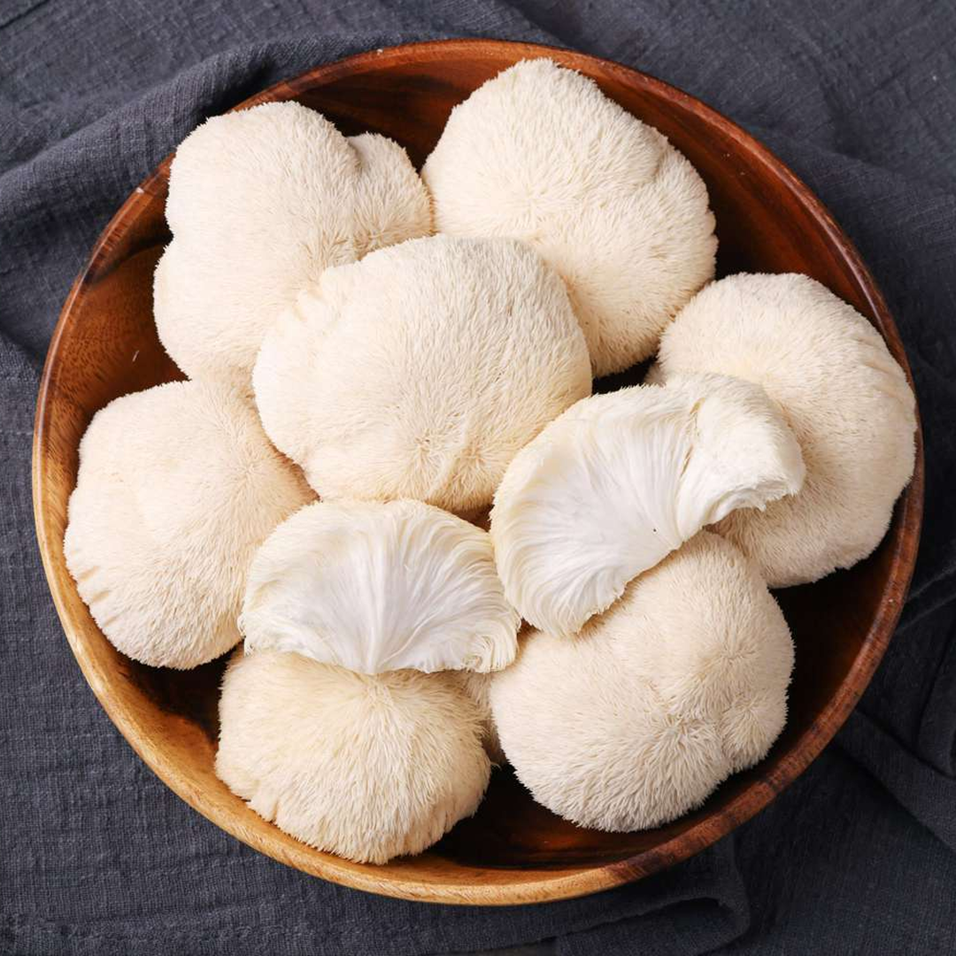 Lion's Mane mushroom extract for brain support